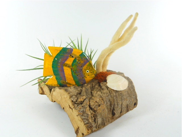 Air Plant Sea Scene Centerpiece on Cork Ocean Decor Unique Gifts For Her Gifts under 50