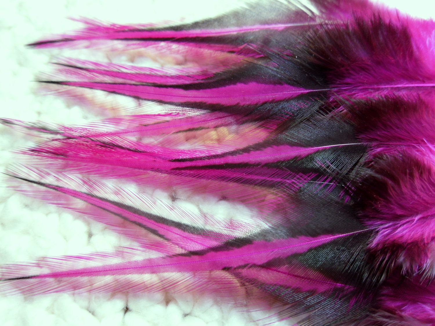 Bright Magenta Pink Feathers, Neon Hair or Craft Feathers, Black Laced White Rooster Feathers