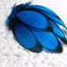 Deep Blue Feathers, Craft Feathers, Black Laced Hen Qty15