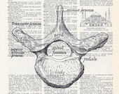 Dictionary Art Print - Upcycled Vintage Paper - Spine Vertebrae Print - 7-3/4 x 10-3/4