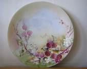 Beautiful Limoges Plate