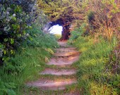 Nature Arch, Carmel by the Sea, California Photography Print By Klaire Warren 8X10 Matted 11X14 Inspirational Artwork for the Home