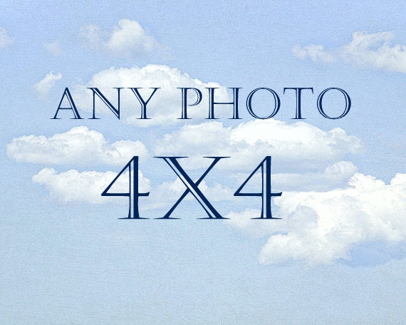4x4 Photography, Square Nature Photo, Nursery Decor, Floral Wall Art, Cottage Beach Photograph, Winter Mountain Print