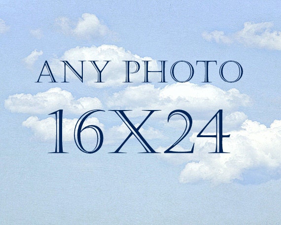 16x24 Nature Photography, Large Wall Art, Landscape print, Flower Photograph, Wildlife Print, Sunset Print