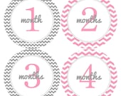 Pink and Grey Gray Chevron Monthly Onesie Stickers for New Mom..Modern Baby Girl or Baby Boy...Favorite Baby Shower Gift...Month Stickers