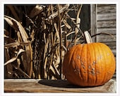 Rustic Autumn Wall Photo, 8x10, Orange Pumpkin, Fall Autumn Scene, Farm Harvest Art Photo, Halloween art