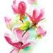 Bird and Magnolia 2 original watercolour painting