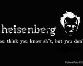 Heisenberg Mug Science Humor Quote
