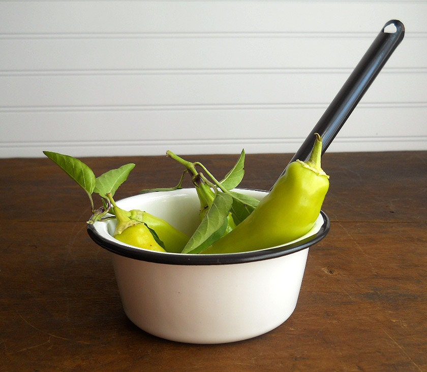 Vintage Enamelware Ladle Scoop