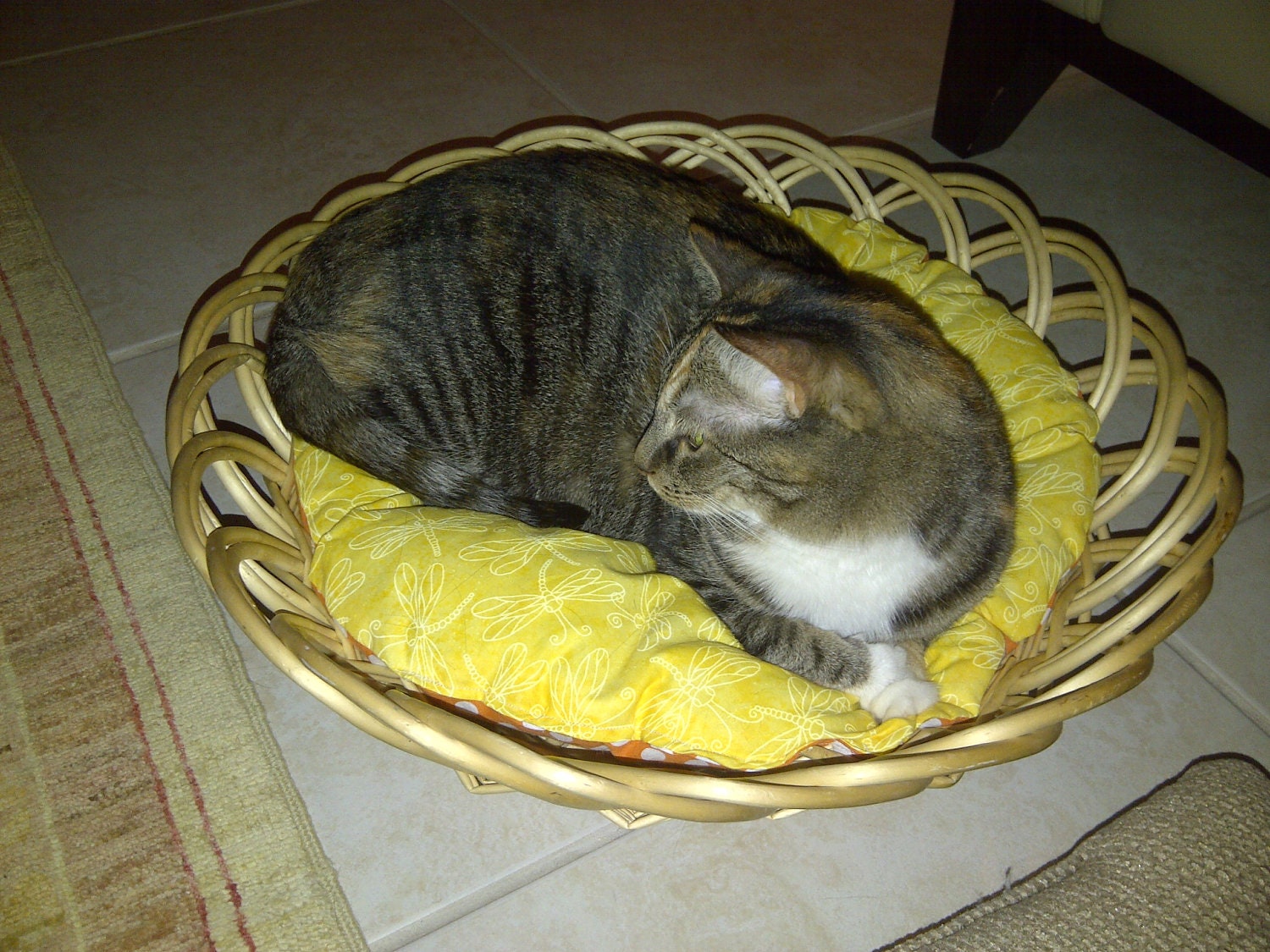 Basket Bed