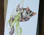 Australian Sugar Glider - blank greeting card from original watercolour