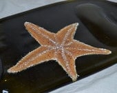 BIG Oversized Amber Brown Wine Bottle Cheese Starfish Beach Tray Platter