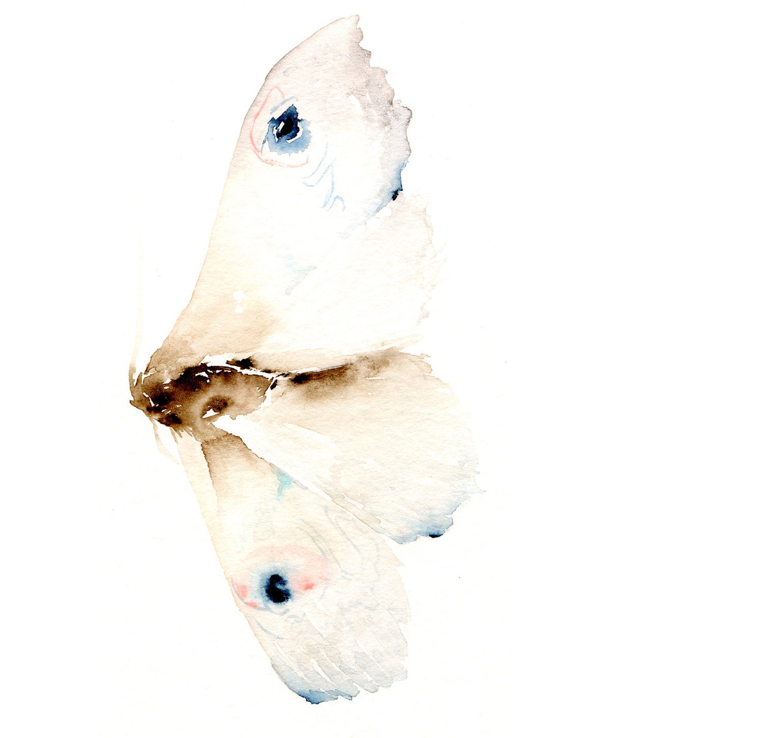 White Moth - Original Watercolor Painting