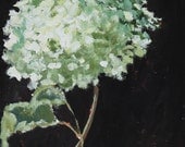 hydrangea flower painting Original Oil Still Life on wood panel white black wall art 10x10