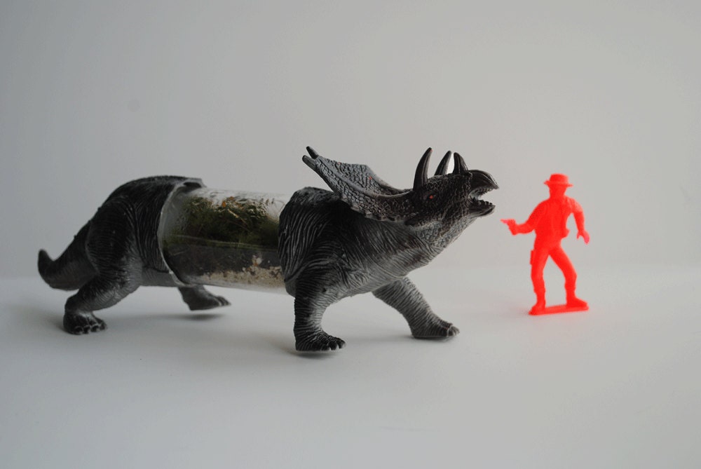 Triceratops Live Dino Terrarium