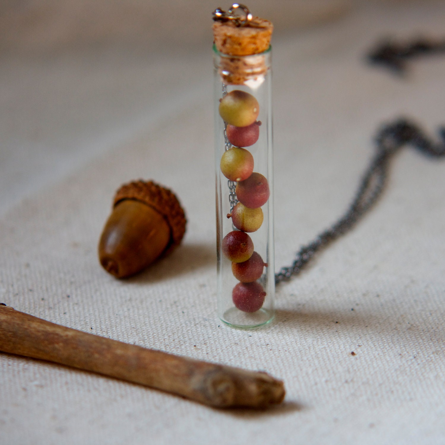 botanical vial necklace preserved specimen corked top dried berry on an extra long 35 inch silver chain. winter garden real pressed flower
