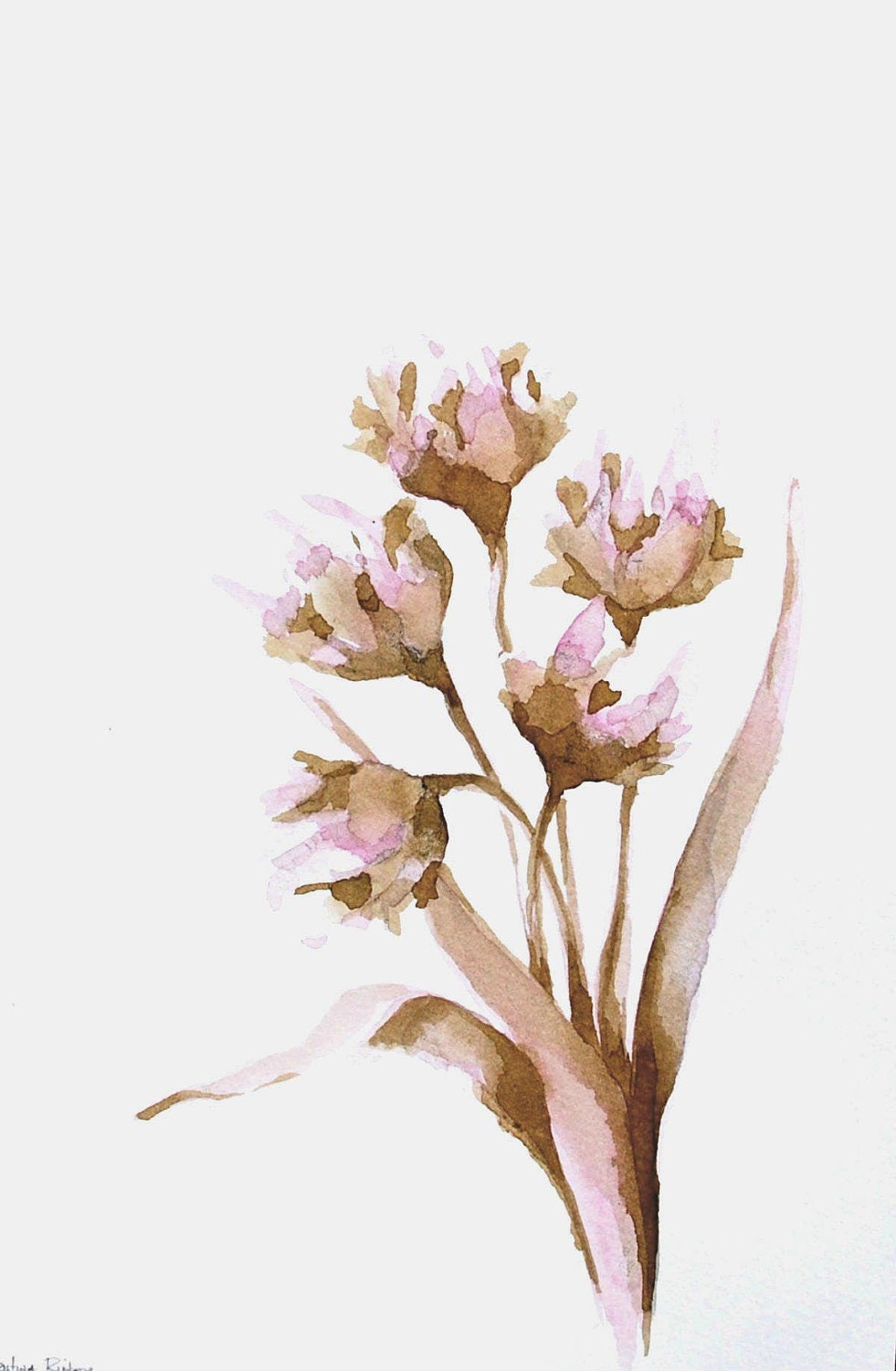 FLOWERS - Original Art Ink drawing- Ink wash, brown, pink, beige, watercolor, acid free paper Sennelier 200gr by Cristina Ripper