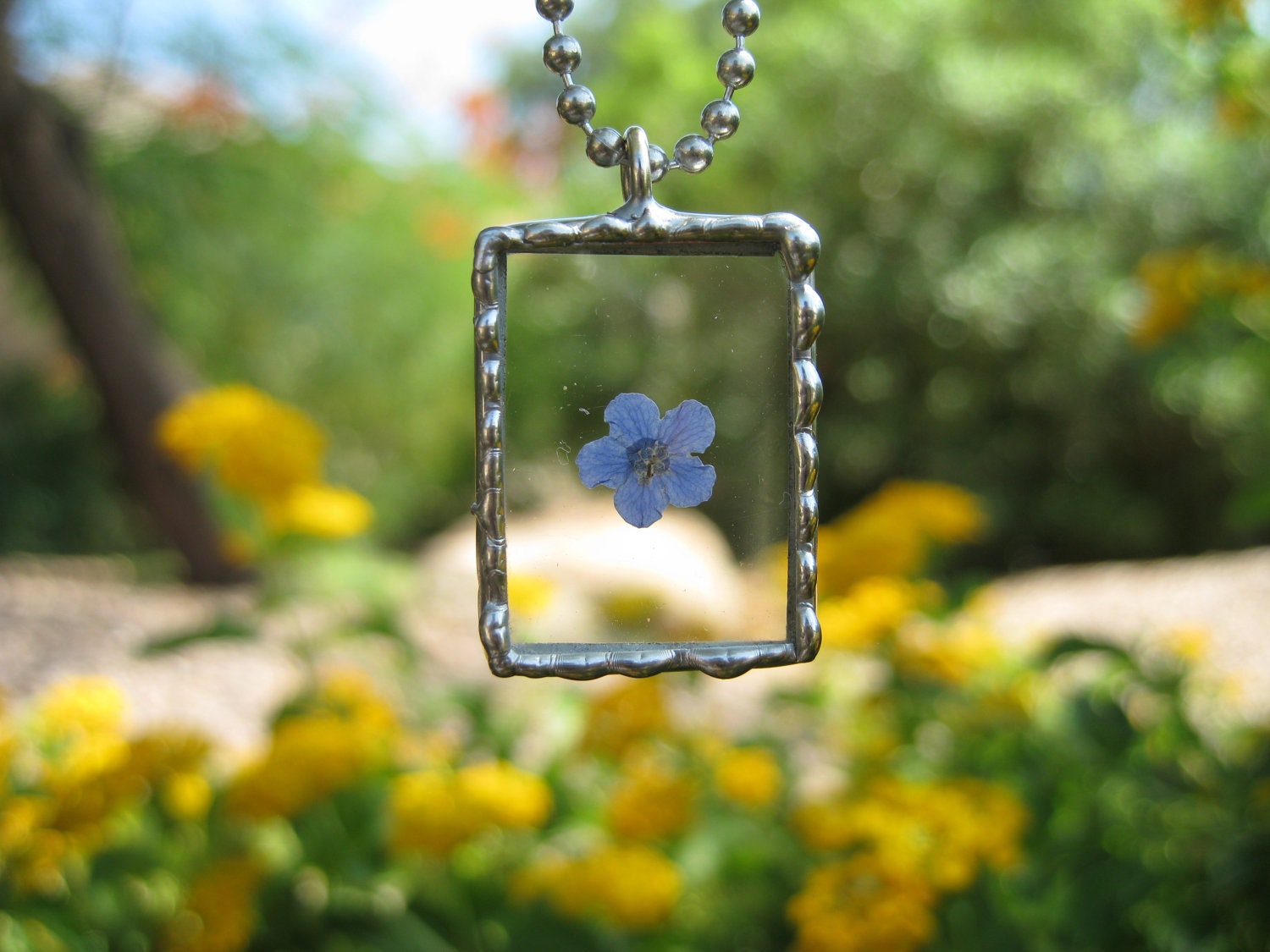 Beaded Edge Silver Soldered Glass Pendant with a Real Forget Me Not Flower