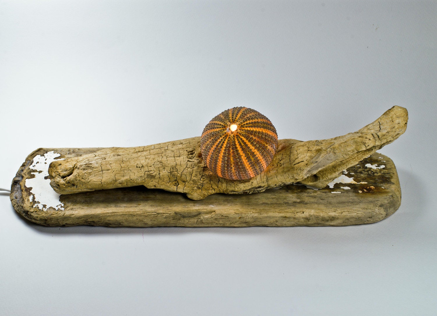 Driftwood & Sea Urchin Lamp, Seaside Natural Design, Driftwood Table Decoration, Handmade Lamp,Night Light