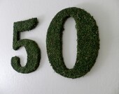 Moss Number Moss Wreath Birthday Anniversary other sizes and numbers available