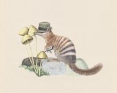 Blank Greeting Card - Numbat