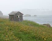 8x10 print - Trinity Newfoundland Canada - stillness by the foggy bay