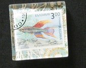 Handmade glass tile magnet Betta Fish