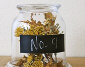 Vintage Glass Bell Jar Cloche Candleholder Vase Terrarium