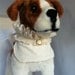 Classy  Bib by FiercePetFashion