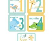 Baby Monthly Onesie Iron On  Transfers - Jungle Animals Cute All 12 Months Plus NEW BORN L1