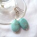 Oval Shaped Turquoise Earrings