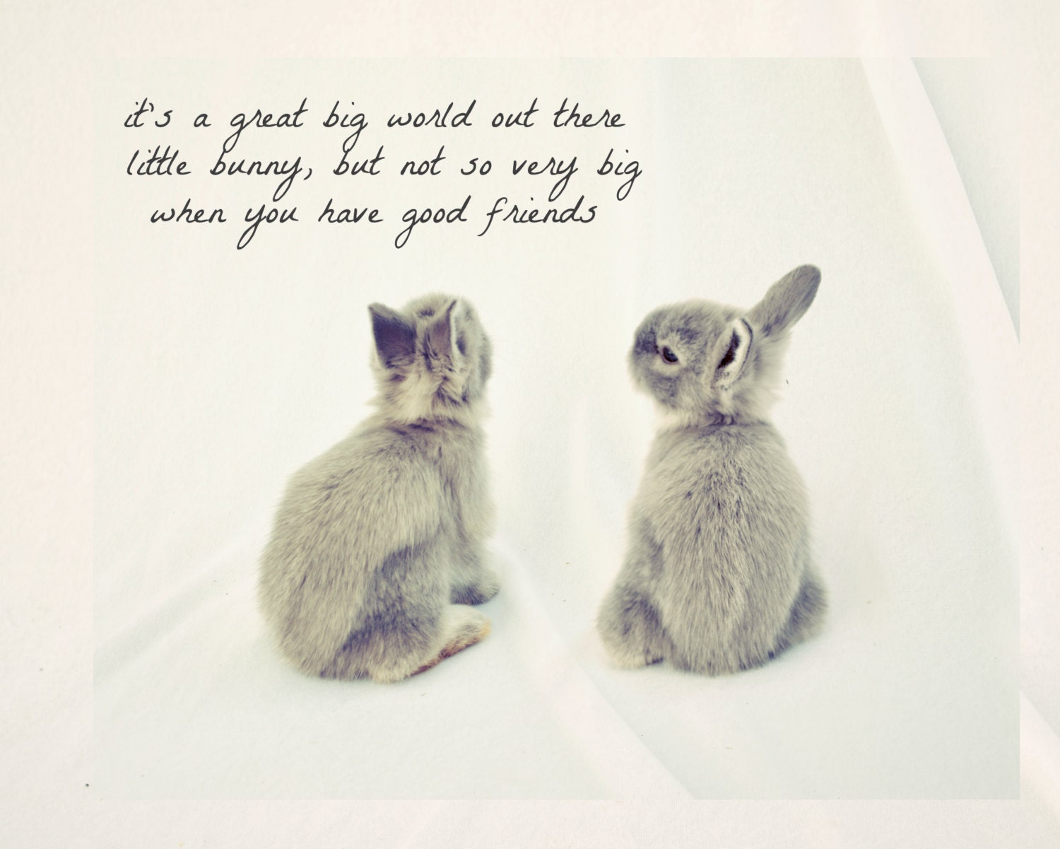 Bunny Friends Nursery Childs Room Art Print Photography 8x10 Photography Dreamy Rabbit White and Grey Fine Art Original Print
