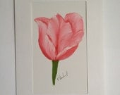 Pink Tulip Oil Painting on Canvas Greeting Card