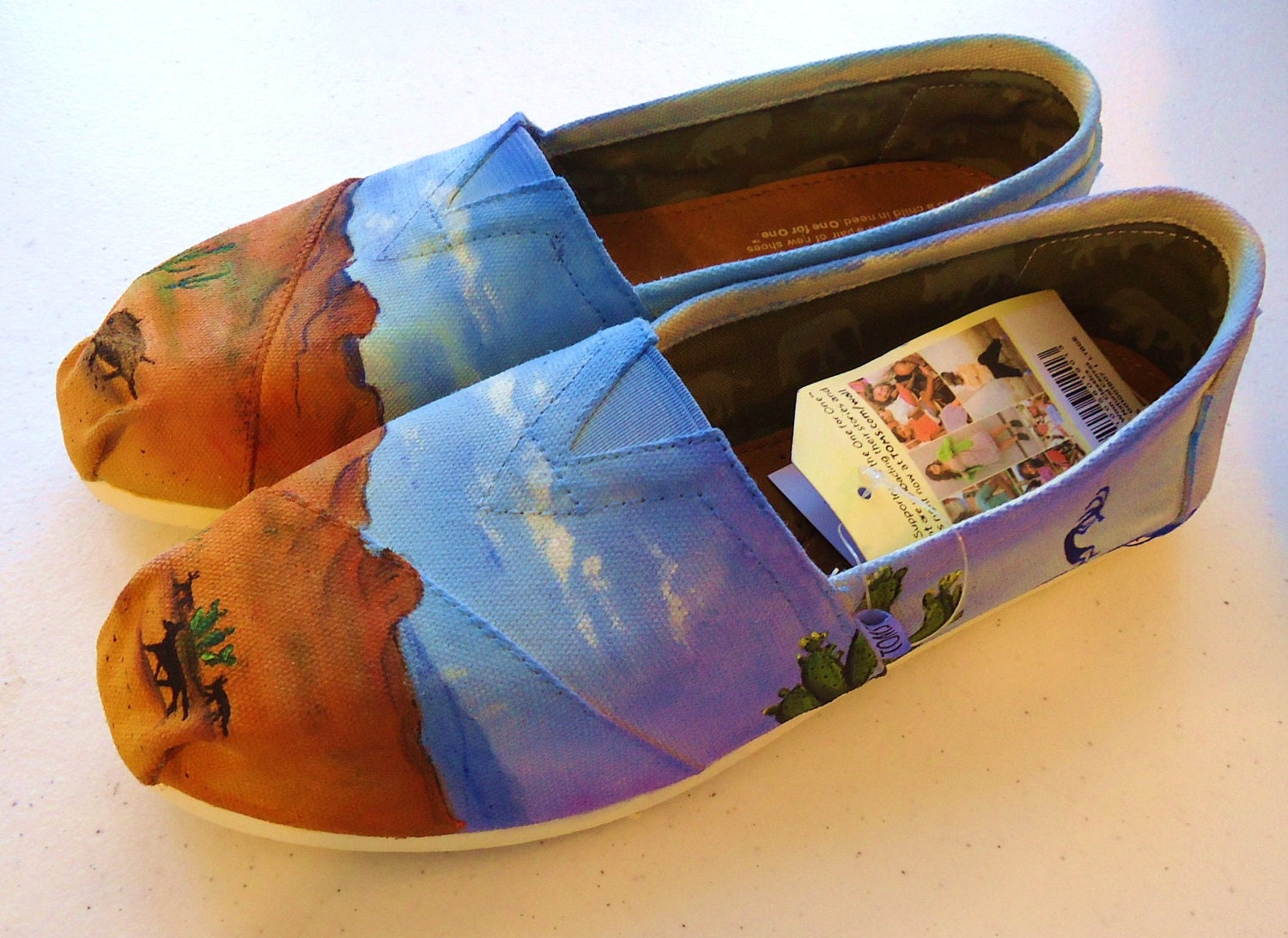 Southwest Themed TOMS