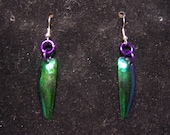 beetle shell earrings