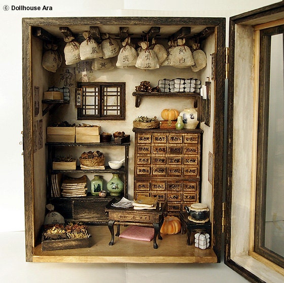 Traditional oriental Herbal Medicine Shop- handmade Dollhouse Miniatures
