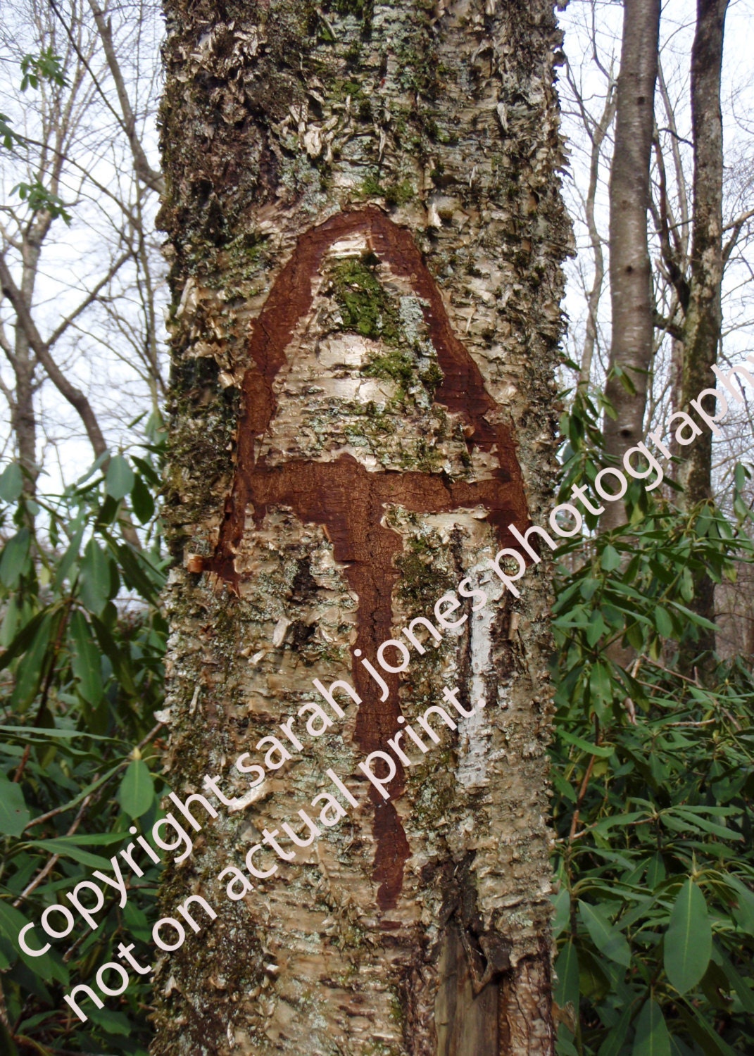 Appalachian Trail Symbol