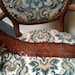 3' 1/2" Snake Skin