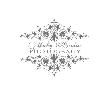 Professional Premade Custom Business- Wedding- Photography Logo Watermark
