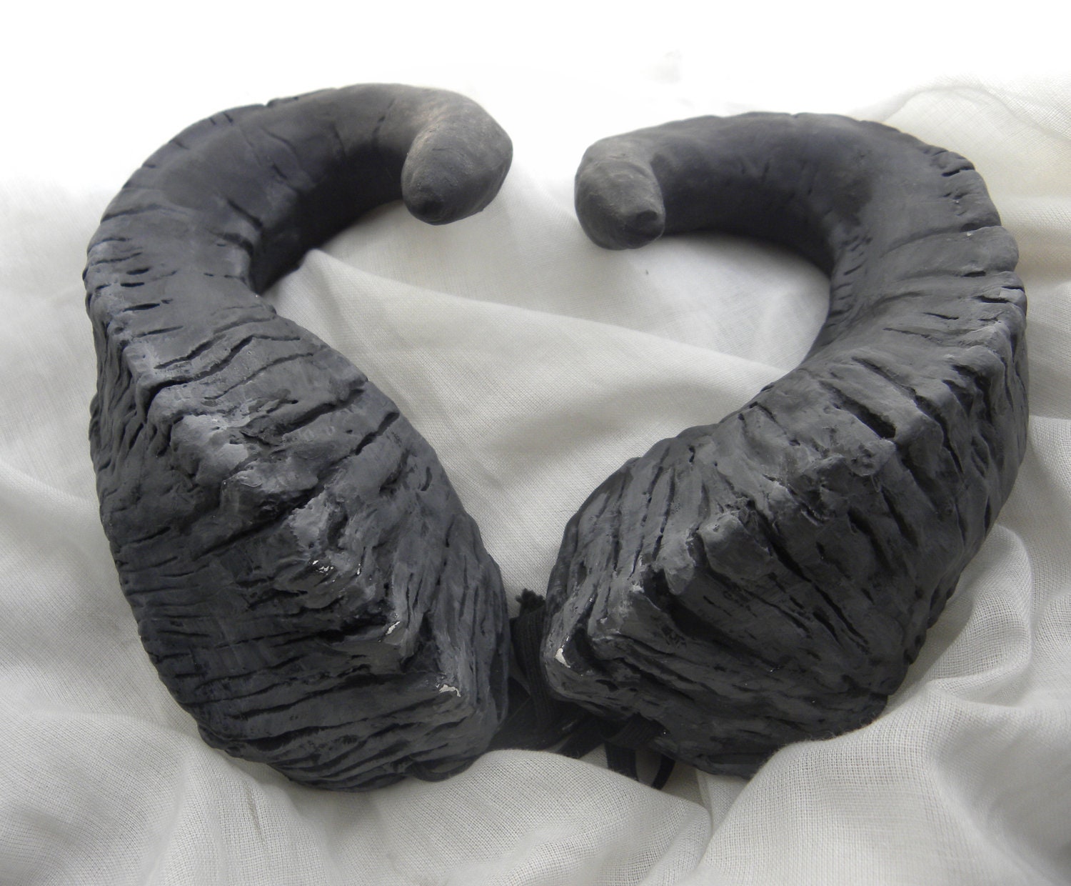 Dark Curling Ram Horns -  Extra Large - Made to Order