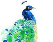 SALE -20% ART Peacock 16"x20" ( 40x50 cm ) BIG Print of Original Watercolor painting , signed and dated