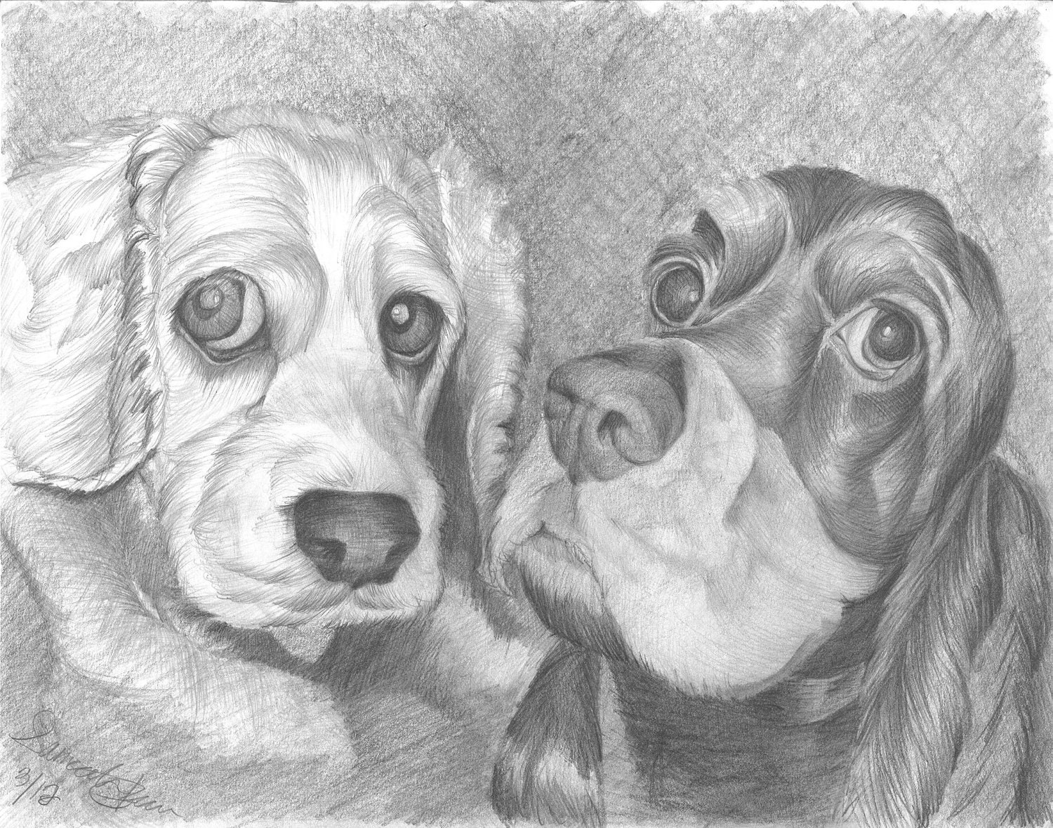Pet Portrait. Original drawing of dogs.  Realistic drawing of pets.