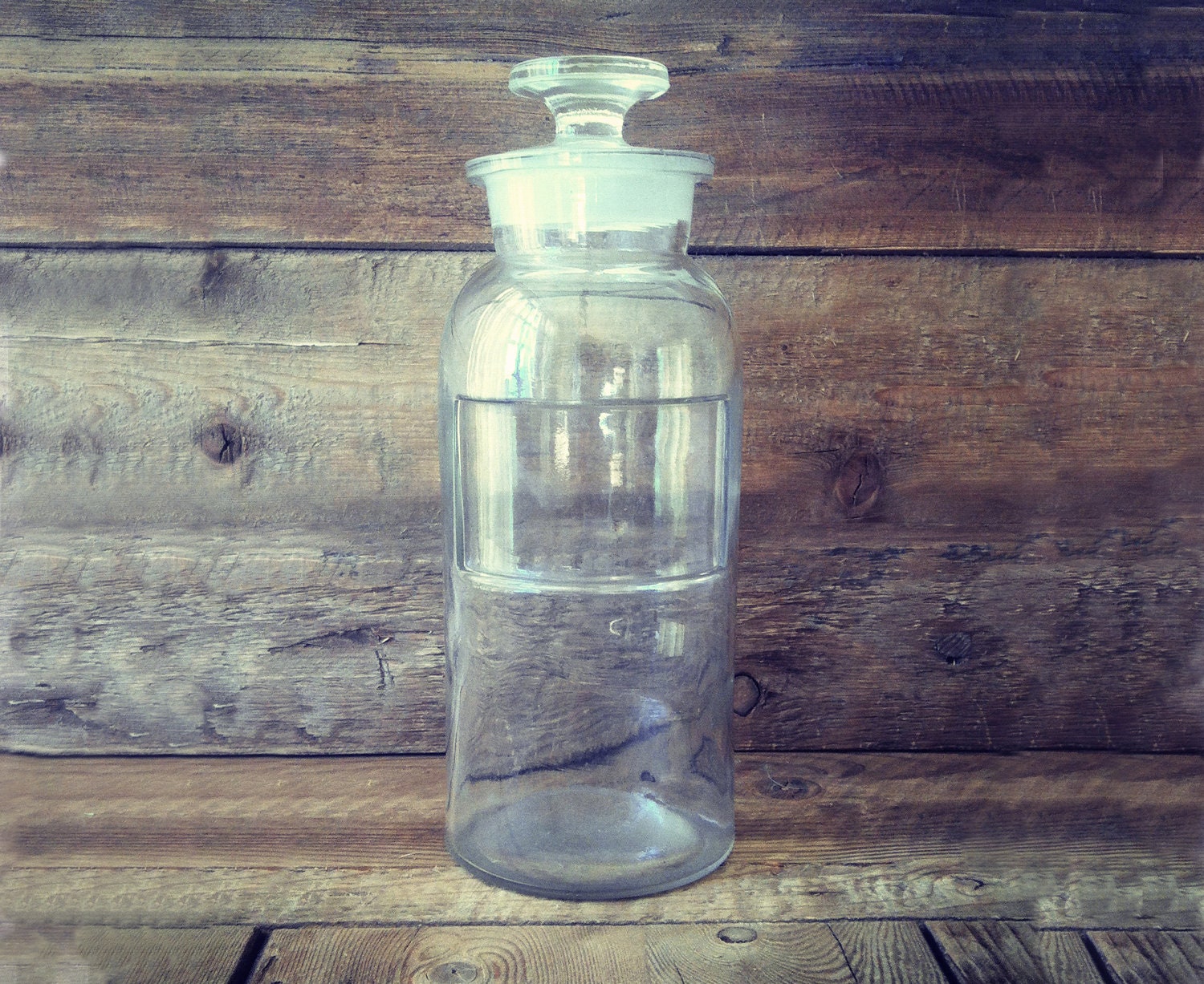 Terrarium Kit // DIY Gift for Men - Home Decor - Vintage Apothecary Jar - Live Moss