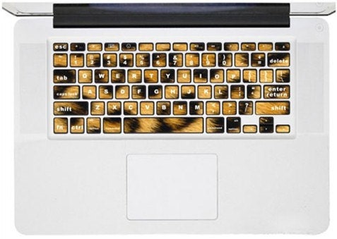 Keyboard Stickers Mac