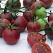 Heirloom, Dark Black Cherry Tomato, 25 Seeds, Garden Seed