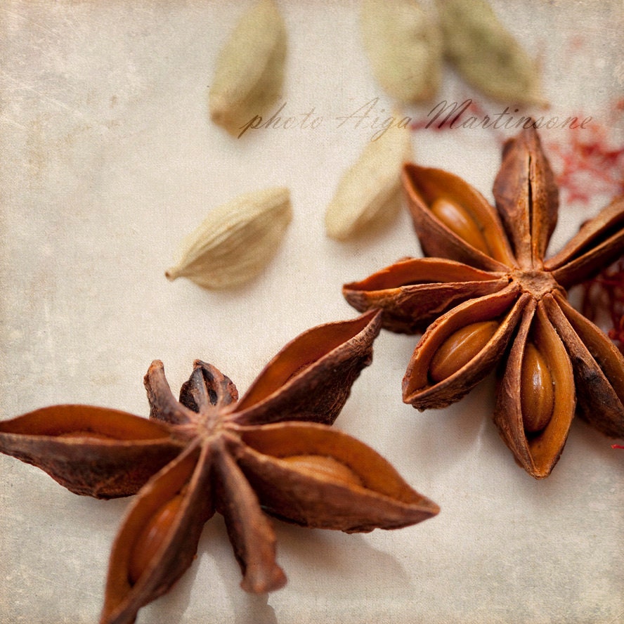 Oriental spices Star Aniseeds decor for kitchen , wall art print 8x8 inch - Fine Art Photography