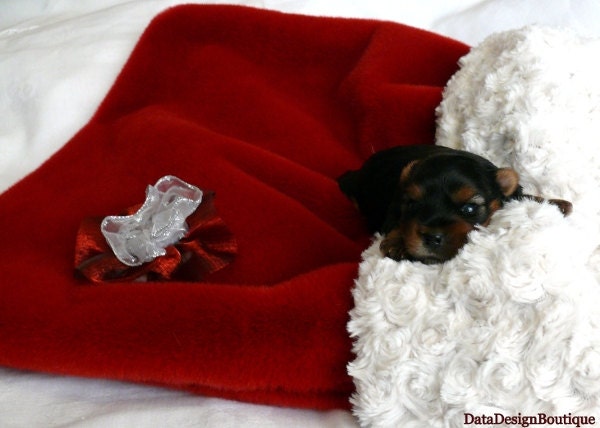 Christmas Time Cuddle Sack Red Tissavel Fur and Soft Cream Minky Fur - DataDesignBoutique