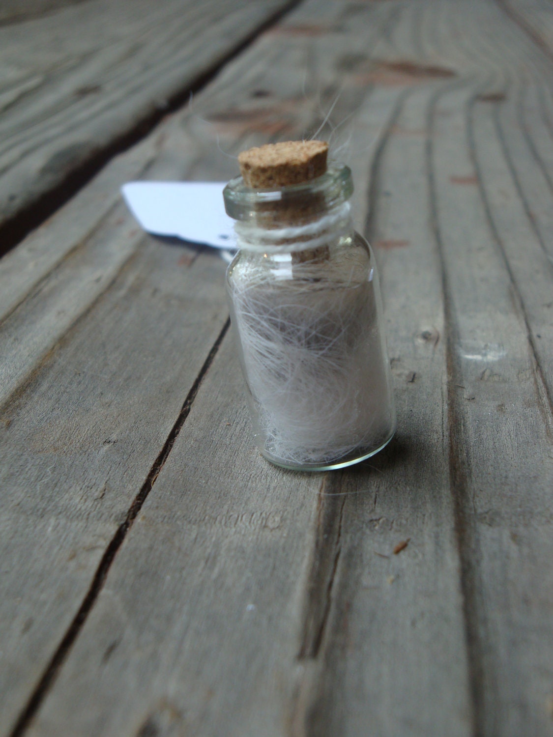 Coyote Fur Curiousity Vial / Totem Charm, Good for Necklace, Keychain, etc.