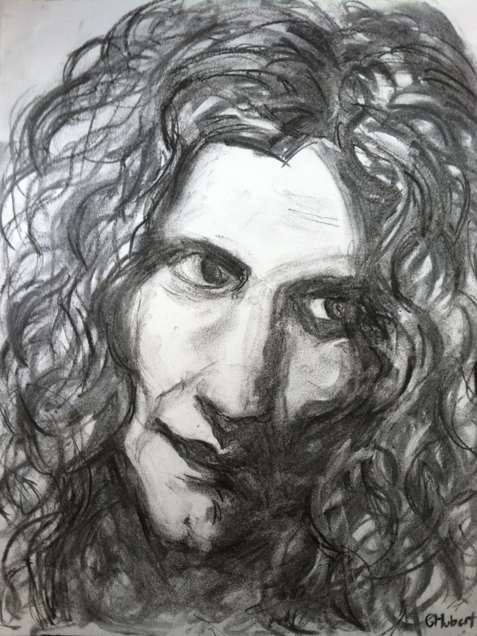Robert Plant Drawing