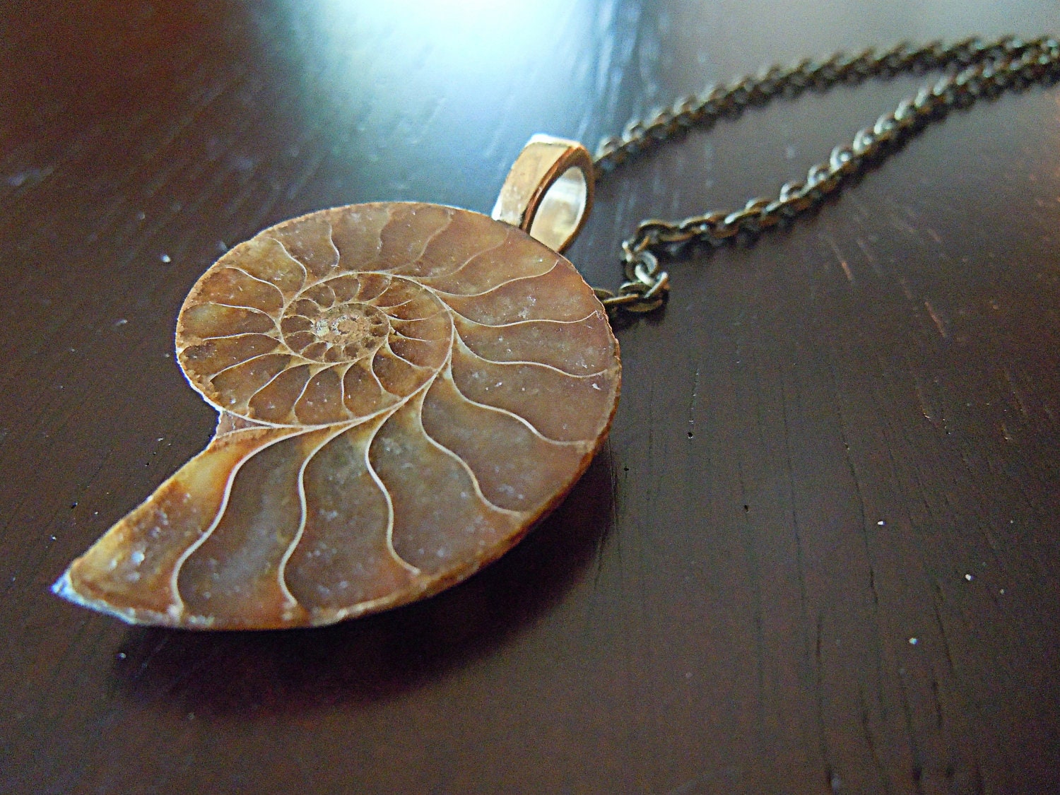 Amber Shell Necklace